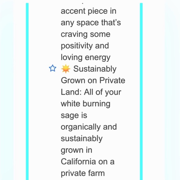 4” Wide Sage Stick Aromatherapy Bundle with Ceramic Dish, Gypsy Soul - Picture 9 of 10